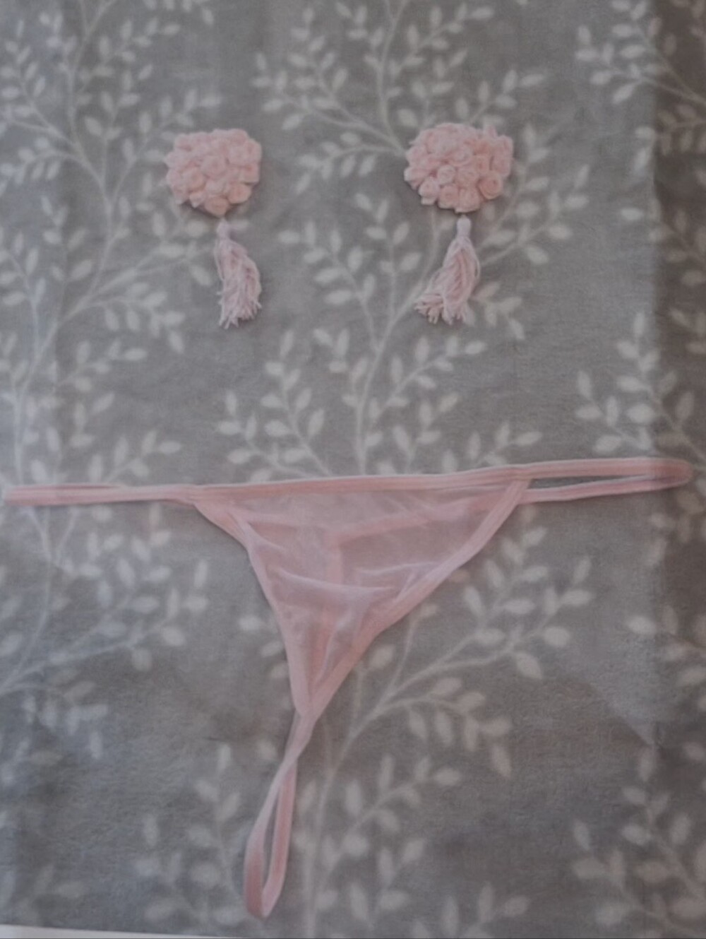Delicate Pink Sheer Mesh Thong & Floral Tassel Heart Pasties Set